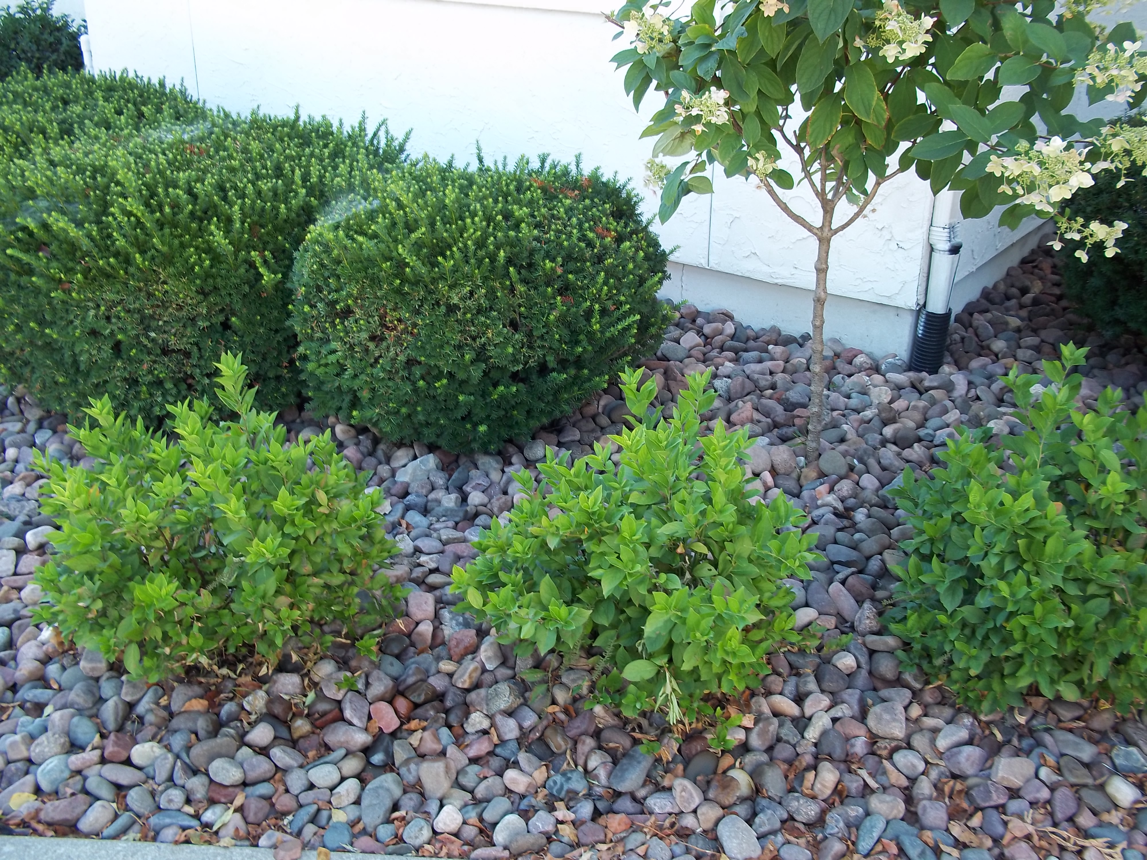 Landscaping with River Rock